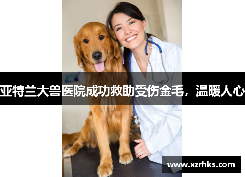 亚特兰大兽医院成功救助受伤金毛，温暖人心